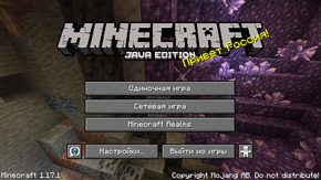 Java Edition 1.17.1.png